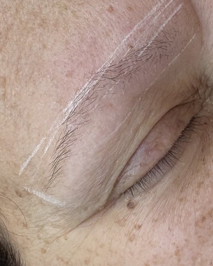 Starting point before Nano Brows with the full brow visible