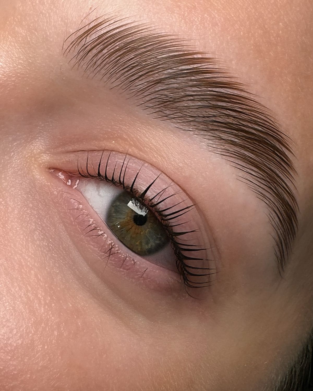 Brow Lamination — résultat gros plan